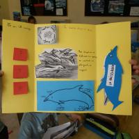 Lapbook 8