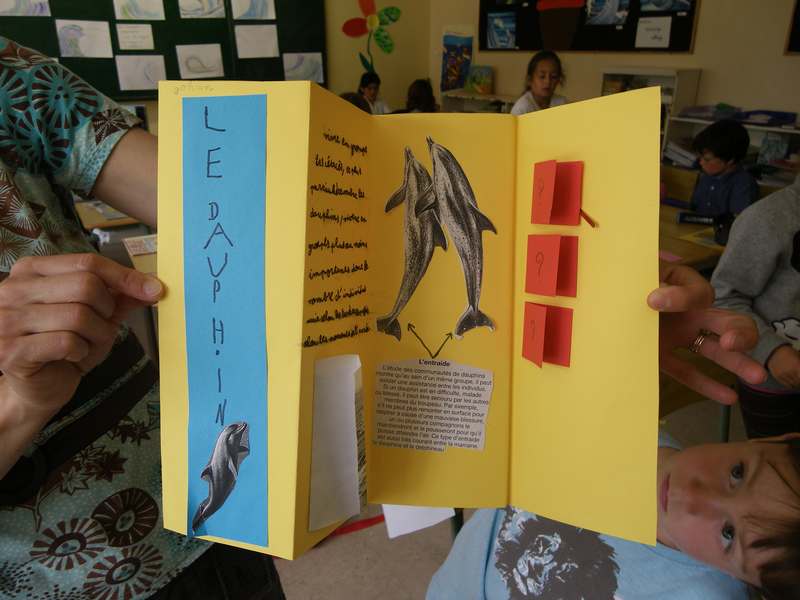 Lapbook 9