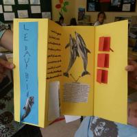 Lapbook 9